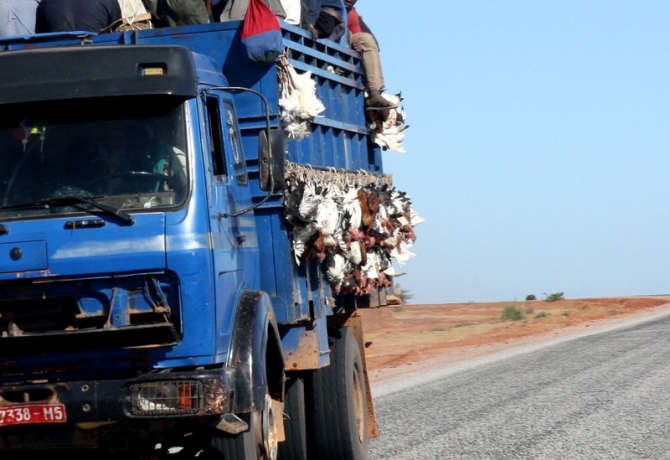 Фотозарисовки из Мали (Альпинизм, кага тондо, омбори, сахара, dav club russland, африка, мюнхен)