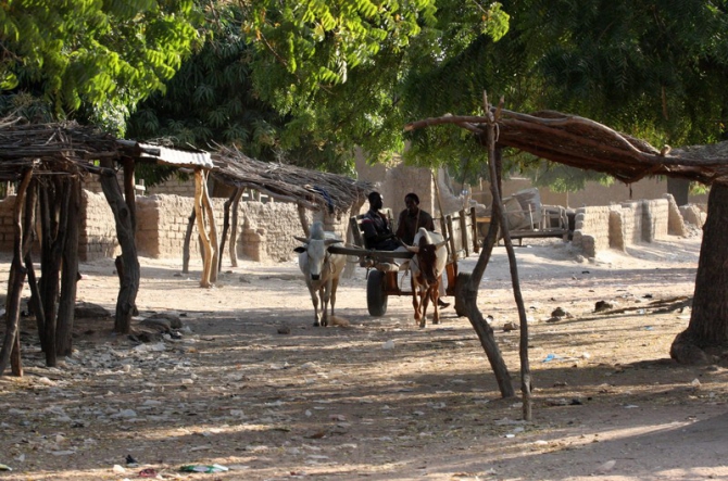 Фотозарисовки из Мали (Альпинизм, кага тондо, омбори, сахара, dav club russland, африка, мюнхен)
