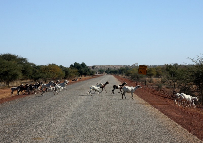 Фотозарисовки из Мали (Альпинизм, кага тондо, омбори, сахара, dav club russland, африка, мюнхен)