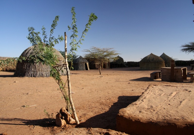 Фотозарисовки из Мали (Альпинизм, кага тондо, омбори, сахара, dav club russland, африка, мюнхен)