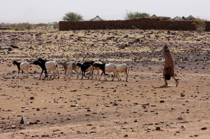 Фотозарисовки из Мали (Альпинизм, кага тондо, омбори, сахара, dav club russland, африка, мюнхен)