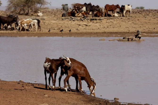 Фотозарисовки из Мали (Альпинизм, кага тондо, омбори, сахара, dav club russland, африка, мюнхен)