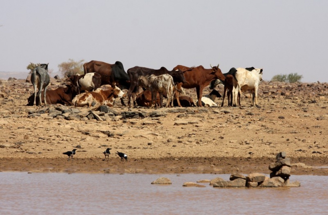 Фотозарисовки из Мали (Альпинизм, кага тондо, омбори, сахара, dav club russland, африка, мюнхен)