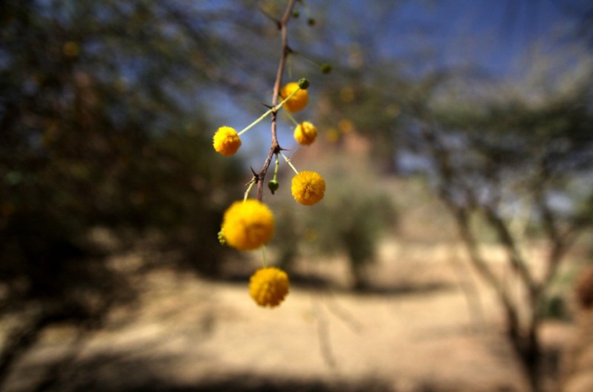 Фотозарисовки из Мали (Альпинизм, кага тондо, омбори, сахара, dav club russland, африка, мюнхен)