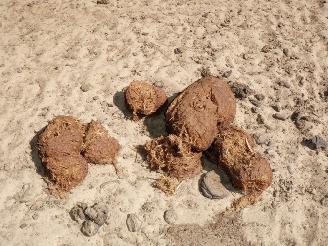 Фотозарисовки из Мали (Альпинизм, кага тондо, омбори, сахара, dav club russland, африка, мюнхен)