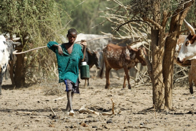 Фотозарисовки из Мали (Альпинизм, кага тондо, омбори, сахара, dav club russland, африка, мюнхен)