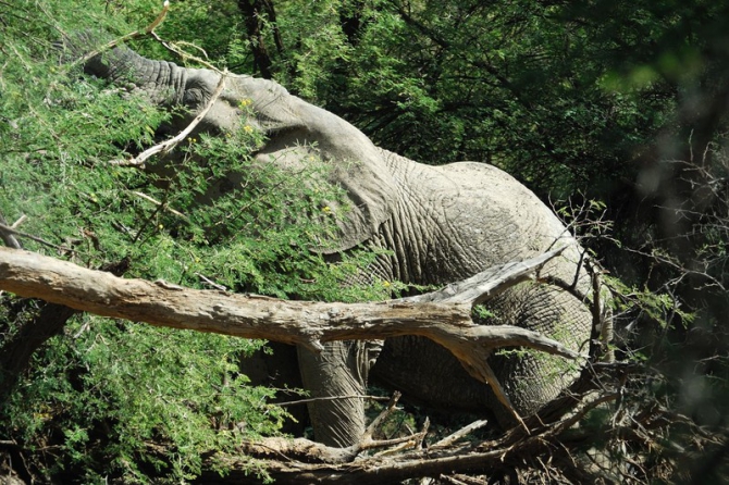 Фотозарисовки из Мали (Альпинизм, кага тондо, омбори, сахара, dav club russland, африка, мюнхен)
