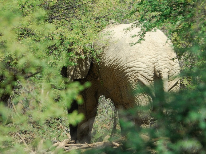 Фотозарисовки из Мали (Альпинизм, кага тондо, омбори, сахара, dav club russland, африка, мюнхен)