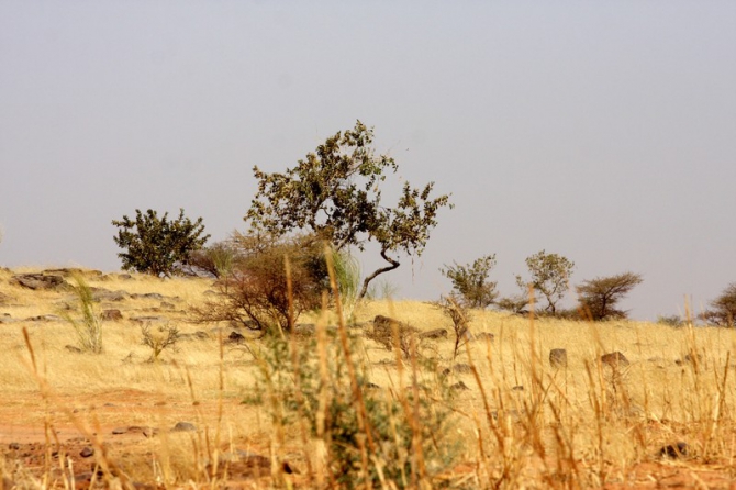 Фотозарисовки из Мали (Альпинизм, кага тондо, омбори, сахара, dav club russland, африка, мюнхен)