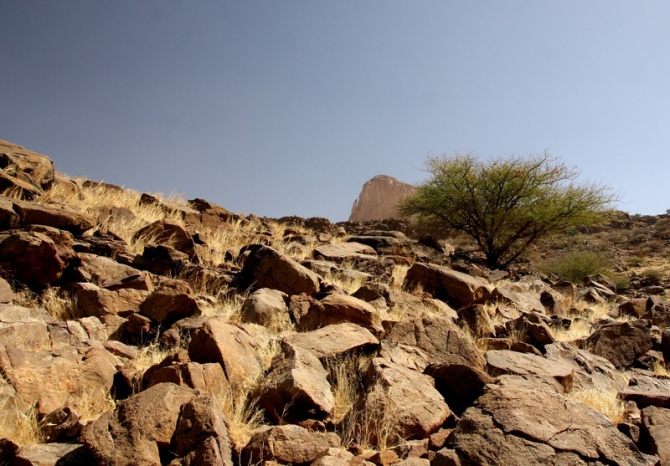 Фотозарисовки из Мали (Альпинизм, кага тондо, омбори, сахара, dav club russland, африка, мюнхен)