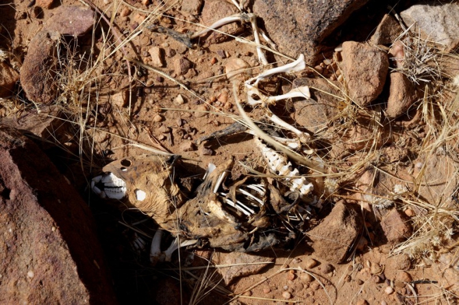 Фотозарисовки из Мали (Альпинизм, кага тондо, омбори, сахара, dav club russland, африка, мюнхен)