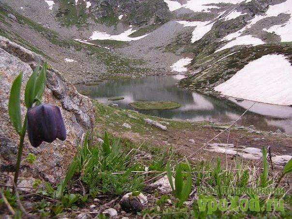 Кавказ. Голубые Озера Архыза. 18-30 июня 2010 года (Горный туризм, природа, активный отдых, красота., озёра, горы, поход, палатка)