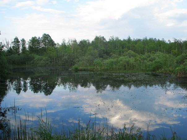 Завершился "Майский спринт - 2010" (Мультигонки, майский_спринт, пср, мультигонки, спортивный_туризм)