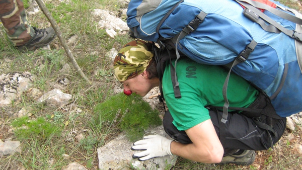 Баллада о первопроходах или горная 4-ка в Крыму (Горный туризм, высокая категория, фотоальбом, событие, горный туризм, альпинизм)