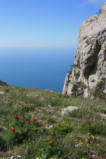 Баллада о первопроходах или горная 4-ка в Крыму (Горный туризм, высокая категория, фотоальбом, событие, горный туризм, альпинизм)