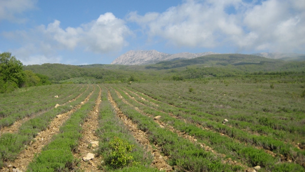 Баллада о первопроходах или горная 4-ка в Крыму (Горный туризм, высокая категория, фотоальбом, событие, горный туризм, альпинизм)