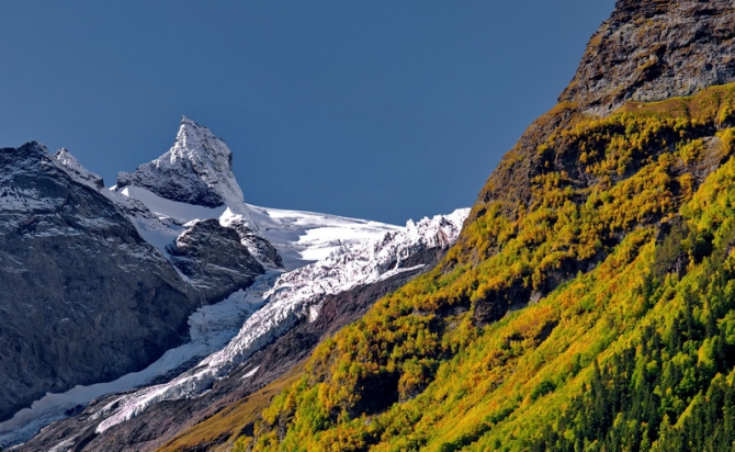 Фотографируем зубров (Путешествия, осень, домбай)