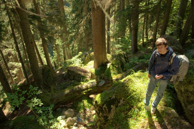 Фотографируем зубров (Путешествия, осень, домбай)