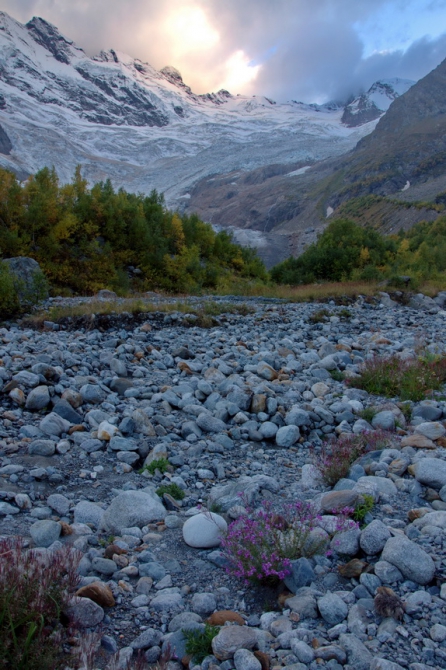 Фотографируем зубров (Путешествия, осень, домбай)