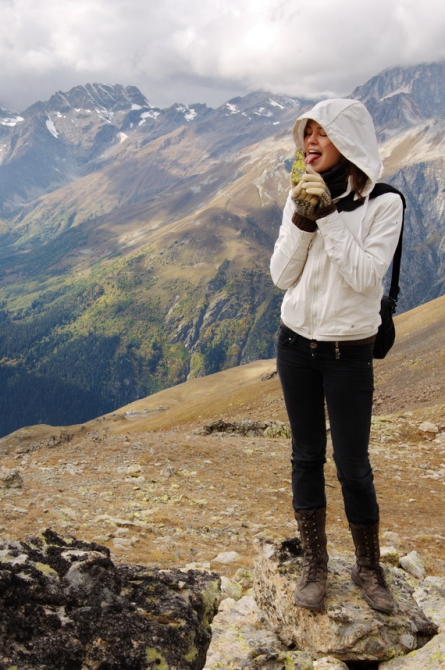 Фотографируем зубров (Путешествия, осень, домбай)