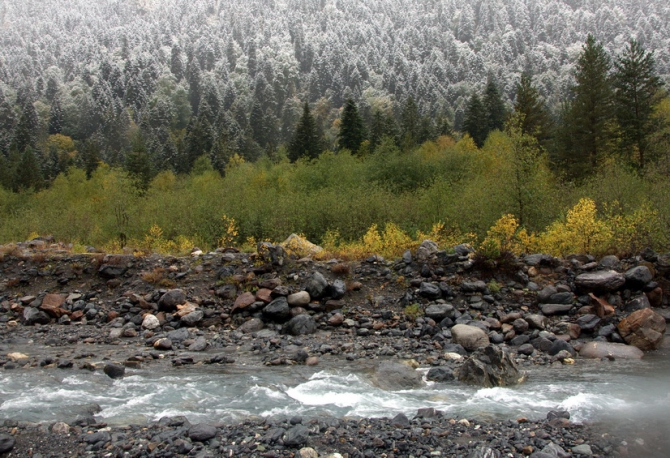 Фотографируем зубров (Путешествия, осень, домбай)