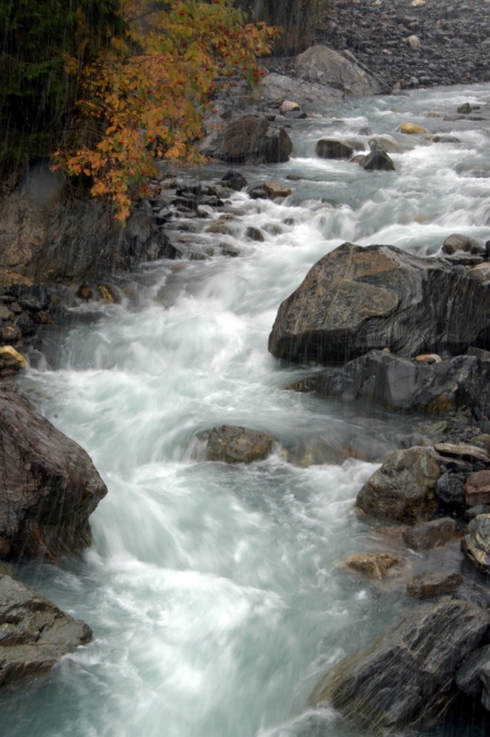 Фотографируем зубров (Путешествия, осень, домбай)
