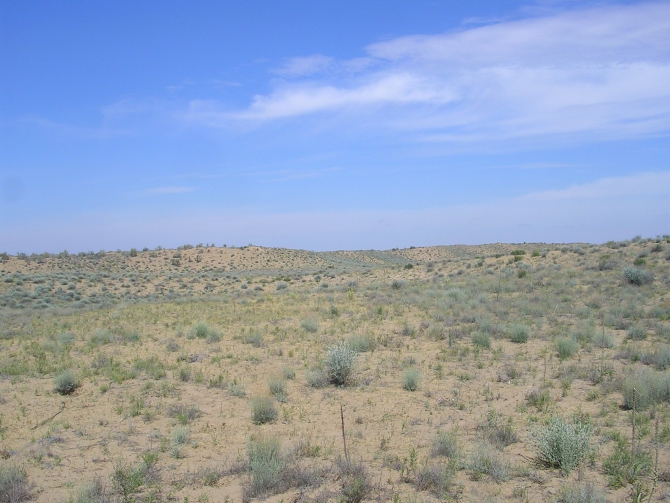 Первый раунд за пустыней! (Альпинизм, скайранинг, редфокс, redfox)