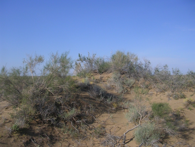 Первый раунд за пустыней! (Альпинизм, скайранинг, редфокс, redfox)