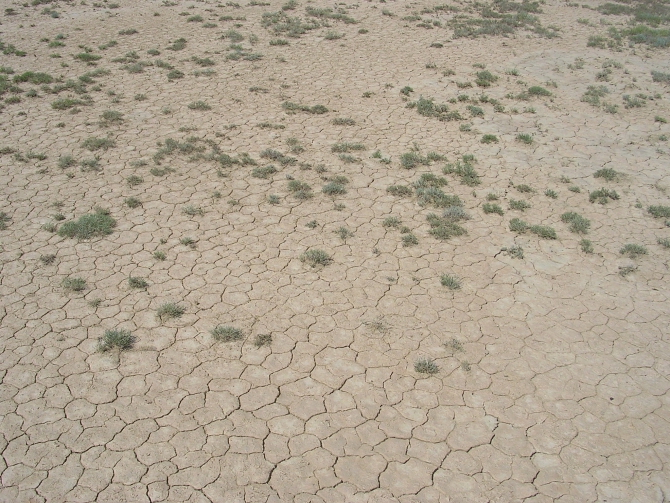 Первый раунд за пустыней! (Альпинизм, скайранинг, редфокс, redfox)