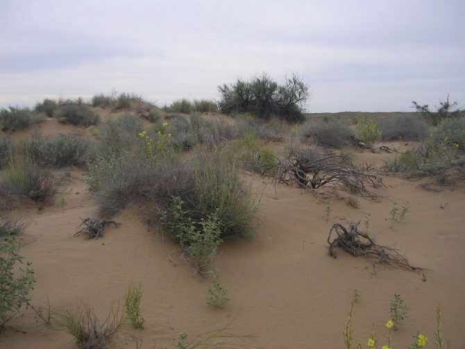 Первый раунд за пустыней! (Альпинизм, скайранинг, редфокс, redfox)