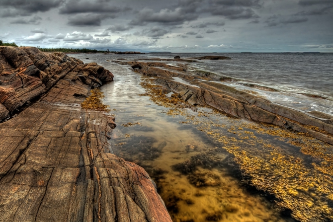 "Север- страна без границ" - итоги третьего этапа. (журнал риск, сэтила)