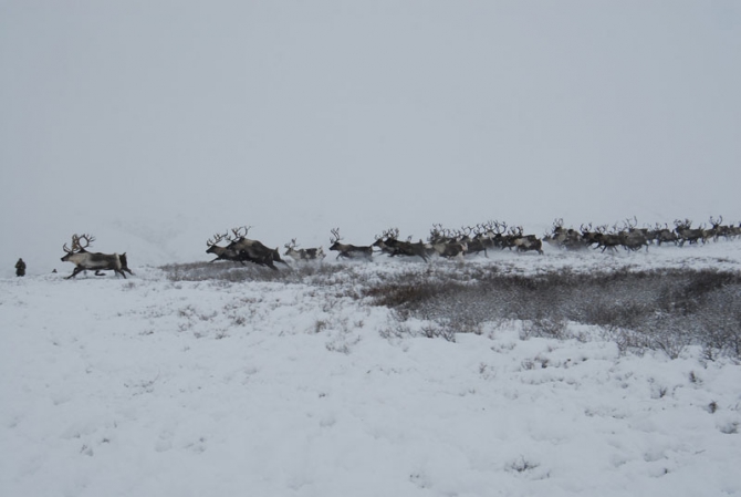 "Север - страна без границ". Фото Андрея Шапрана (Путешествия, журнал риск, север-страна без границ)