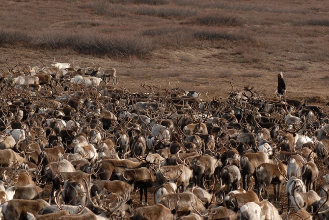 "Север - страна без границ". Фото Андрея Шапрана (Путешествия, журнал риск, север-страна без границ)