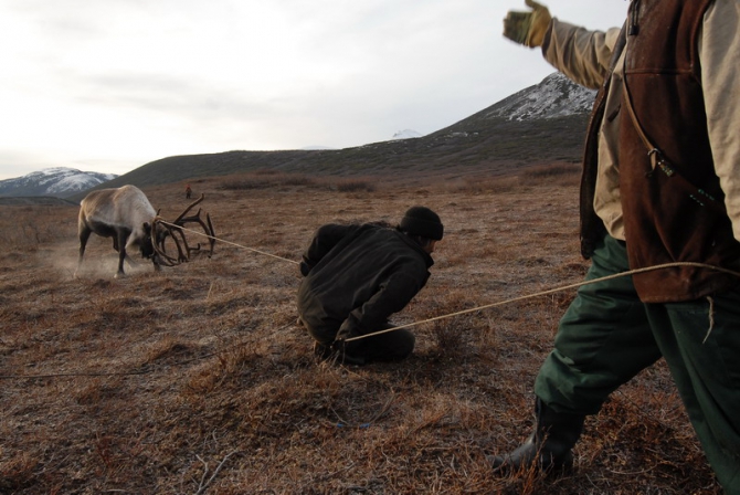 "Север - страна без границ". Фото Андрея Шапрана (Путешествия, журнал риск, север-страна без границ)