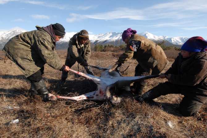 "Север - страна без границ". Фото Андрея Шапрана (Путешествия, журнал риск, север-страна без границ)