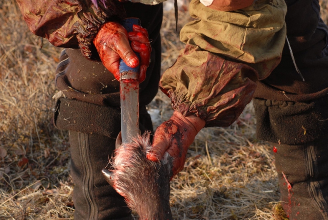 "Север - страна без границ". Фото Андрея Шапрана (Путешествия, журнал риск, север-страна без границ)