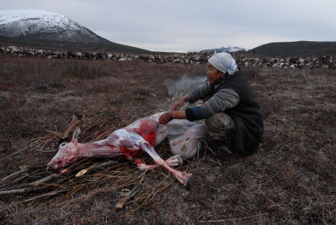 "Север - страна без границ". Фото Андрея Шапрана (Путешествия, журнал риск, север-страна без границ)