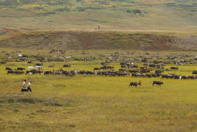 "Север - страна без границ". Фото Андрея Шапрана (Путешествия, журнал риск, север-страна без границ)