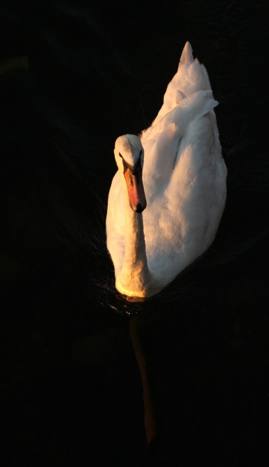 Двухдневный сон в Мореграде... (италия, не альпинизм)