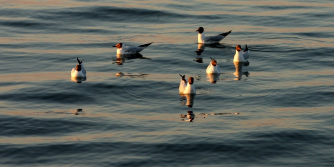Двухдневный сон в Мореграде... (италия, не альпинизм)