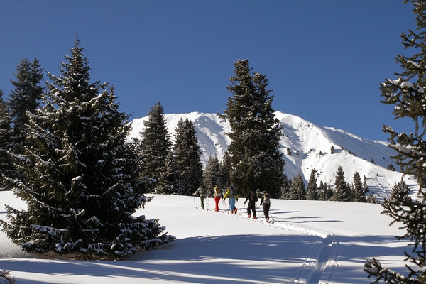 Мургаб- 233, Хорог-544, Ош- 184, или СвежUP The Мысль! (Бэккантри/Фрирайд, splitboard, kyrgyzstan, avalanche, backcountry)