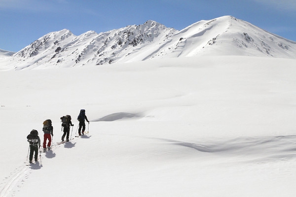 Мургаб- 233, Хорог-544, Ош- 184, или СвежUP The Мысль! (Бэккантри/Фрирайд, splitboard, kyrgyzstan, avalanche, backcountry)