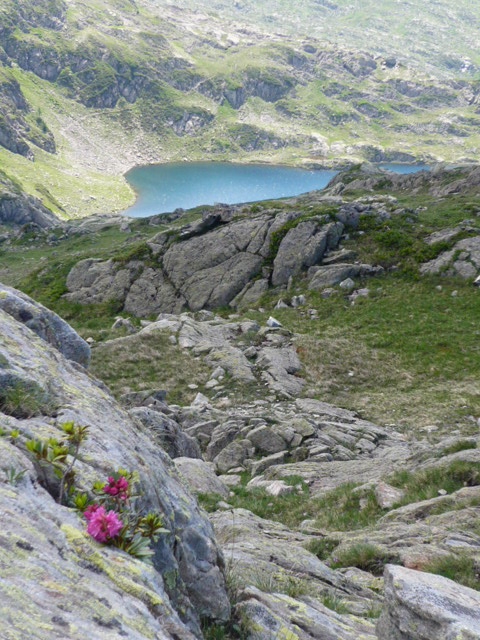 1-й Международный Red Fox Mont Blanc Race: как это было. (Альпинизм, альпинизм)