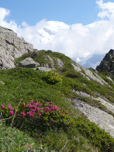 1-й Международный Red Fox Mont Blanc Race: как это было. (Альпинизм, альпинизм)