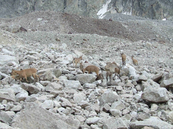 У СКАЛ ЕСТЬ ПАМЯТЬ (Альпинизм, август 2010, кубок памяти, скала никита, адырсу)