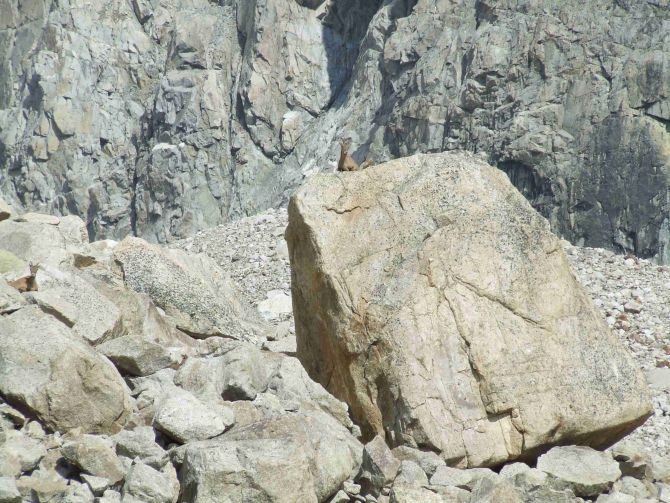 У СКАЛ ЕСТЬ ПАМЯТЬ (Альпинизм, август 2010, кубок памяти, скала никита, адырсу)