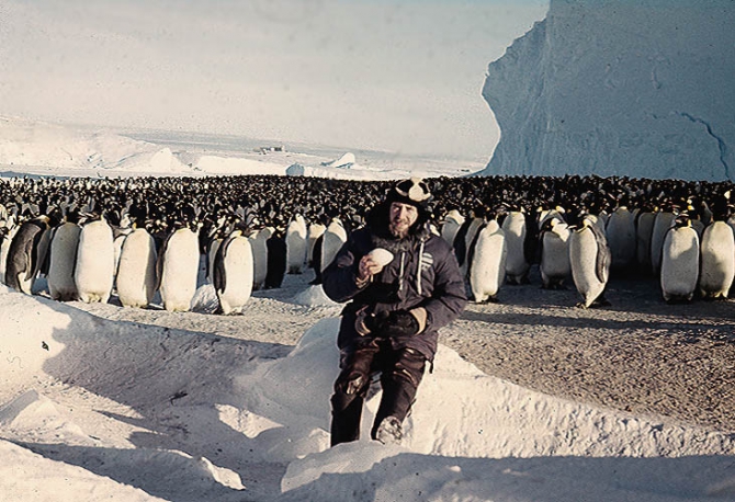 Среди императоров (антарктическая зима, пингвины и люди, антарктида)