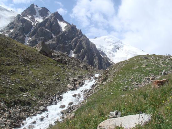 Кругосветка по алматински (Скайраннинг, red fox asia, skyrunning)