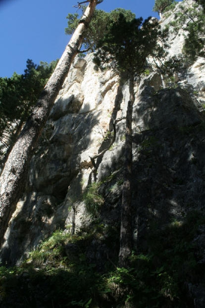 Фестиваль Лаго-Наки 2010. (Альпинизм, кручиненко, кравченко, gekko.)