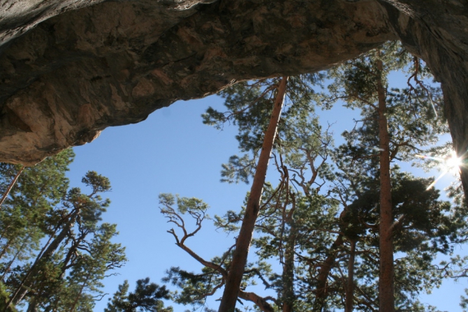 Сижу, собираю гирлянды для освещения скал на Фестивале... Занятно. (Альпинизм, фестиваль скалолазания лаго-наки, gekko)